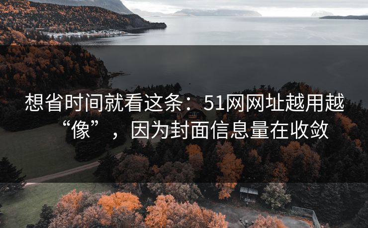 想省时间就看这条：51网网址越用越“像”，因为封面信息量在收敛