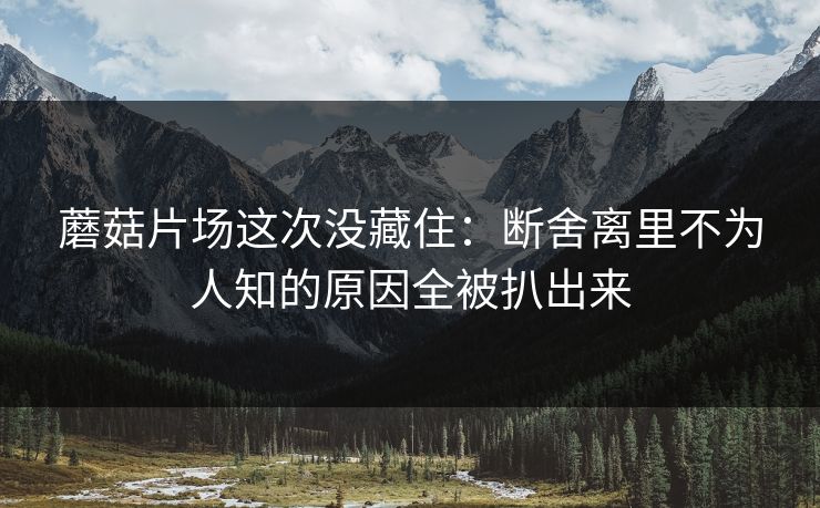 蘑菇片场这次没藏住:断舍离里不为人知的原因全被扒出来 蘑菇片场这次没藏住:断舍离里不为人知的原因全被扒出来