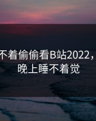 晚上睡不着偷偷看B站2022，我想看晚上睡不着觉