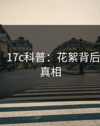 【爆料】17c科普：花絮背后10个细节真相