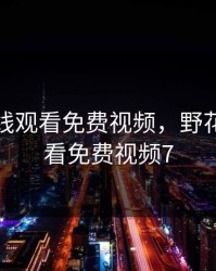 野花在线观看免费视频，野花在线观看免费视频7