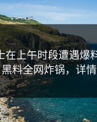 业内人士在上午时段遭遇爆料 轰动一时，黑料全网炸锅，详情发现