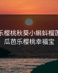 丝瓜芭乐樱桃秋葵小蝌蚪榴莲84，丝瓜芭乐樱桃幸福宝