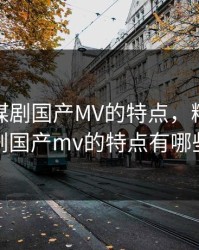 精东传媒剧国产MV的特点，精东传媒剧国产mv的特点有哪些
