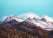 17c给你答案视频分享从0到1：收藏夹这样做最稳