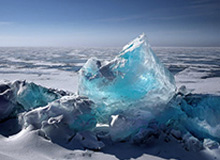 剧烈运动扑克网站免费,剧烈运动扑克免费APP