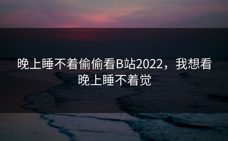 晚上睡不着偷偷看B站2022，我想看晚上睡不着觉