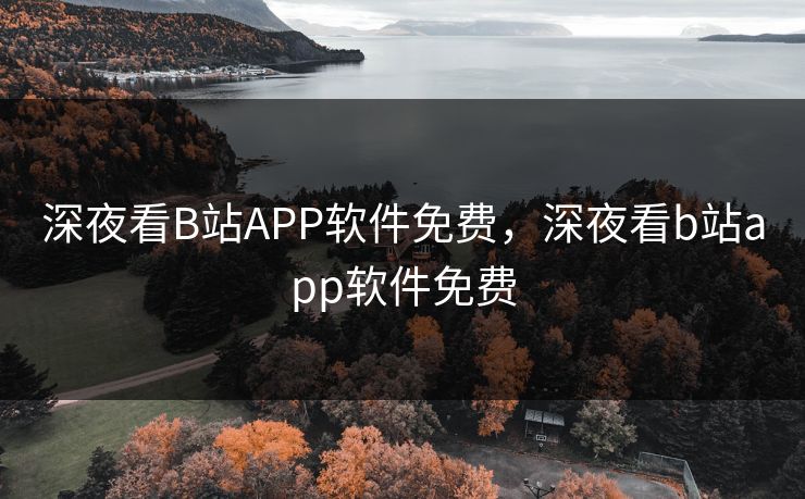 深夜看B站APP软件免费，深夜看b站app软件免费
