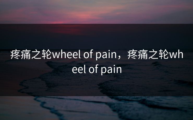 疼痛之轮wheel of pain，疼痛之轮wheel of pain