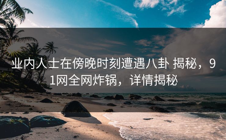 业内人士在傍晚时刻遭遇八卦 揭秘，91网全网炸锅，详情揭秘